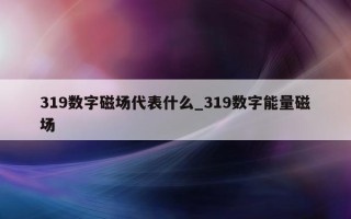 319 数字磁场代表什么_319 数字能量磁场