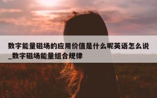 数字能量磁场的应用价值是什么呢英语怎么说_数字磁场能量组合规律