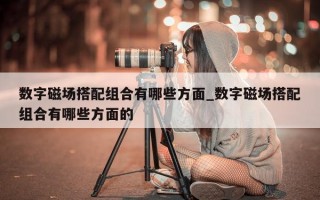 数字磁场搭配组合有哪些方面_数字磁场搭配组合有哪些方面的