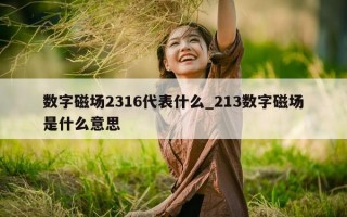 数字磁场 2316 代表什么_213 数字磁场是什么意思