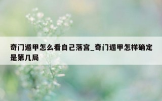 奇门遁甲怎么看自己落宫_奇门遁甲怎样确定是第几局