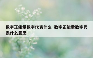 数字正能量数字代表什么_数字正能量数字代表什么意思