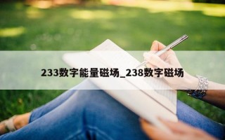 233 数字能量磁场_238 数字磁场