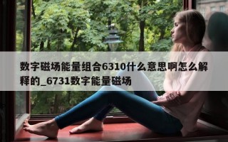 数字磁场能量组合 6310 什么意思啊怎么解释的_6731 数字能量磁场