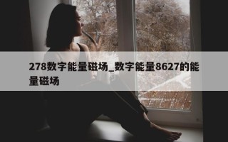 278数字能量磁场_数字能量8627的能量磁场