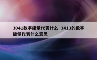 3041 数字能量代表什么_3413 的数字能量代表什么意思