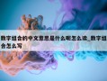 数字组合的中文意思是什么呢怎么读_数字组合怎么写