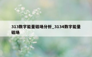 313 数字能量磁场分析_3134 数字能量磁场