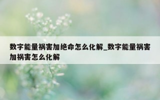 数字能量祸害加绝命怎么化解_数字能量祸害加祸害怎么化解