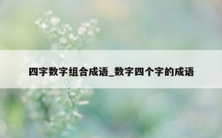 四字数字组合成语_数字四个字的成语