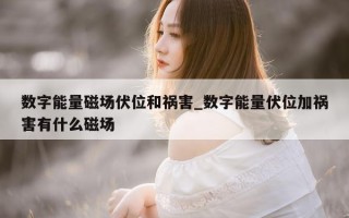 数字能量磁场伏位和祸害_数字能量伏位加祸害有什么磁场