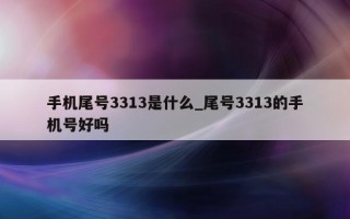 手机尾号 3313 是什么_尾号 3313 的手机号好吗