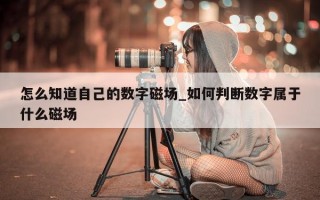 怎么知道自己的数字磁场_如何判断数字属于什么磁场