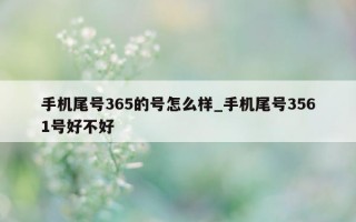 手机尾号 365 的号怎么样_手机尾号 3561 号好不好