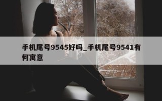 手机尾号9545好吗_手机尾号9541有何寓意