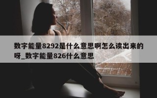 数字能量8292是什么意思啊怎么读出来的呀_数字能量826什么意思