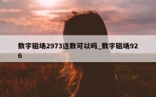 数字磁场 2973 这数可以吗_数字磁场 926