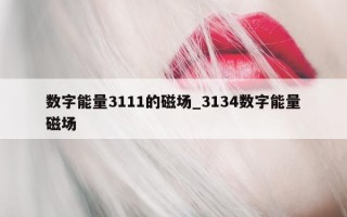 数字能量 3111 的磁场_3134 数字能量磁场