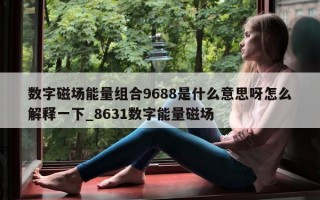 数字磁场能量组合 9688 是什么意思呀怎么解释一下_8631 数字能量磁场