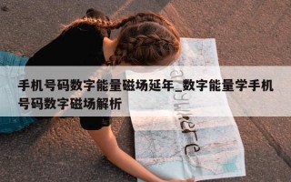 手机号码数字能量磁场延年_数字能量学手机号码数字磁场解析