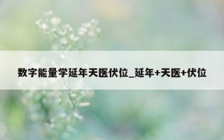 数字能量学延年天医伏位_延年 + 天医 + 伏位