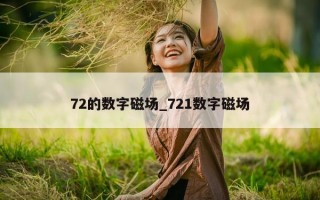 72 的数字磁场_721 数字磁场