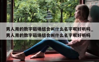 男人用的数字磁场组合叫什么名字呢好听吗_男人用的数字磁场组合叫什么名字呢好听吗