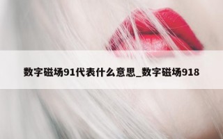 数字磁场91代表什么意思_数字磁场918