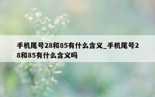 手机尾号 28 和 85 有什么含义_手机尾号 28 和 85 有什么含义吗