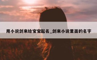 用小说剑来给宝宝起名_剑来小说里面的名字