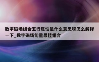 数字磁场组合五行属性是什么意思呀怎么解释一下_数字磁场能量最佳组合