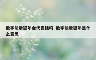 数字能量延年金代表钱吗_数字能量延年是什么意思