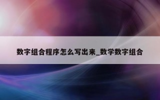 数字组合程序怎么写出来_数学数字组合