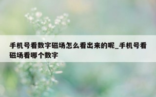 手机号看数字磁场怎么看出来的呢_手机号看磁场看哪个数字