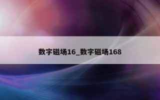 数字磁场16_数字磁场168