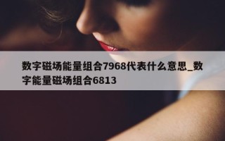 数字磁场能量组合 7968 代表什么意思_数字能量磁场组合 6813