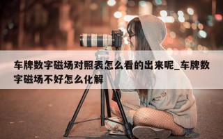 车牌数字磁场对照表怎么看的出来呢_车牌数字磁场不好怎么化解