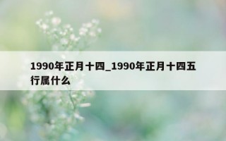 1990 年正月十四_1990 年正月十四五行属什么