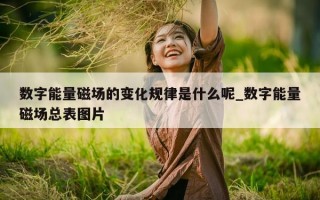 数字能量磁场的变化规律是什么呢_数字能量磁场总表图片