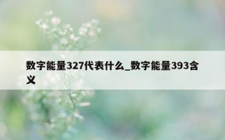 数字能量 327 代表什么_数字能量 393 含义