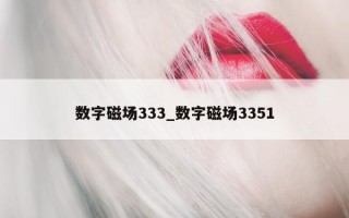 数字磁场 333_数字磁场 3351