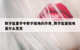 数字能量学中数字磁场的作用_数字能量磁场是什么意思