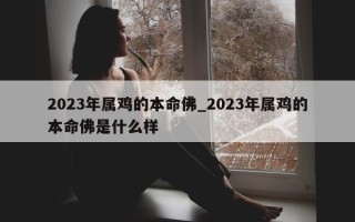 2023 年属鸡的本命佛_2023 年属鸡的本命佛是什么样