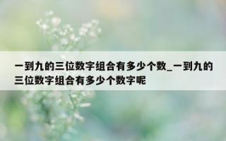 一到九的三位数字组合有多少个数_一到九的三位数字组合有多少个数字呢