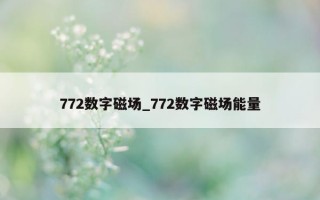 772 数字磁场_772 数字磁场能量