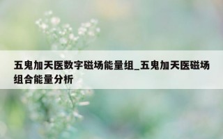 五鬼加天医数字磁场能量组_五鬼加天医磁场组合能量分析