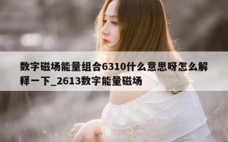 数字磁场能量组合 6310 什么意思呀怎么解释一下_2613 数字能量磁场