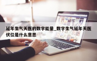 延年生气天医的数字能量_数字生气延年天医伏位是什么意思