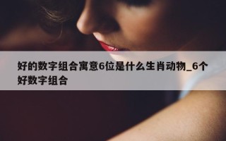 好的数字组合寓意 6 位是什么生肖动物_6 个好数字组合