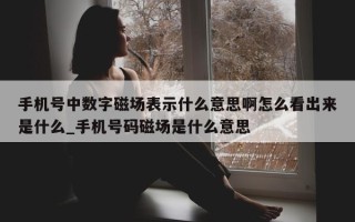 手机号中数字磁场表示什么意思啊怎么看出来是什么_手机号码磁场是什么意思